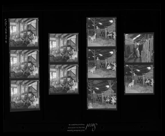 [VIDE]