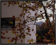 [VIDE]