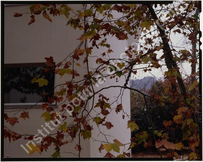 [VIDE]