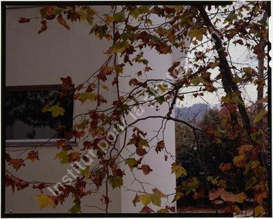 [VIDE]