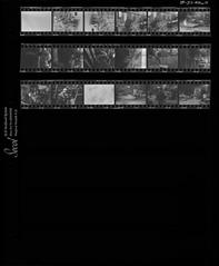 [VIDE]