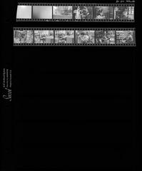 [VIDE]