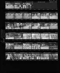 [VIDE]