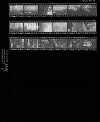 [VIDE]