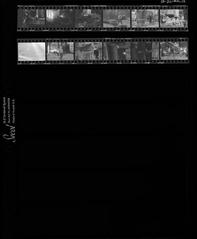 [VIDE]