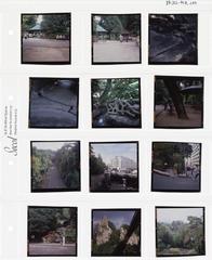 [VIDE]