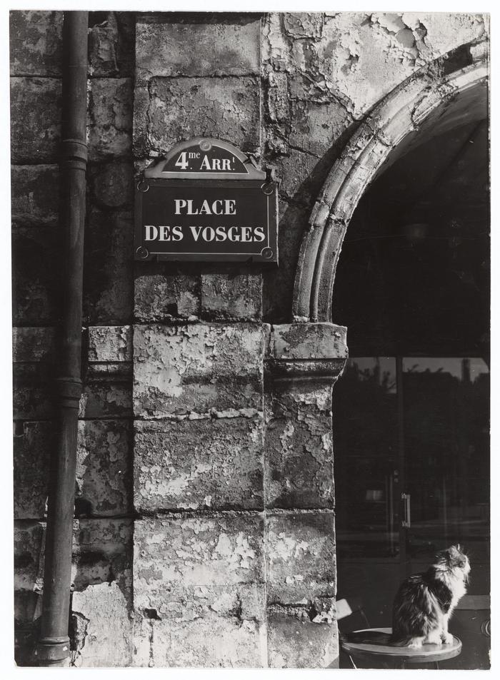 [VIDE]