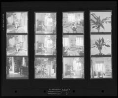 [VIDE]